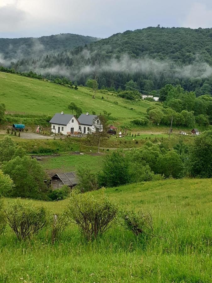 Domki W Bieszczadzkiej Dolinie Ustrzyki Dolne Exterior photo